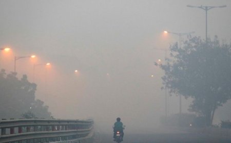Breathing has now become a luxury A season of smog: India’s most tenacious pandemic.